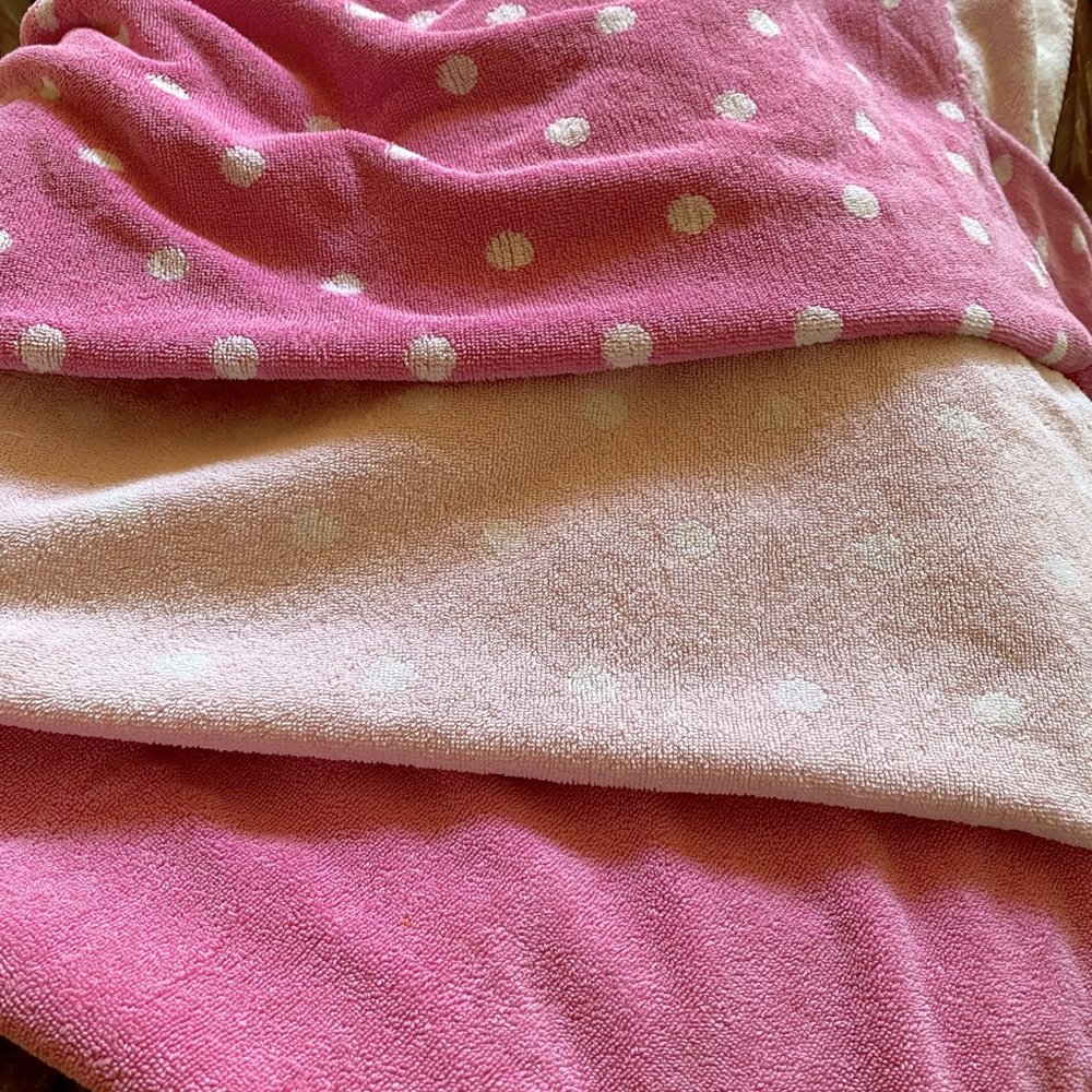 Pottery Barn Kids Hooded Towels